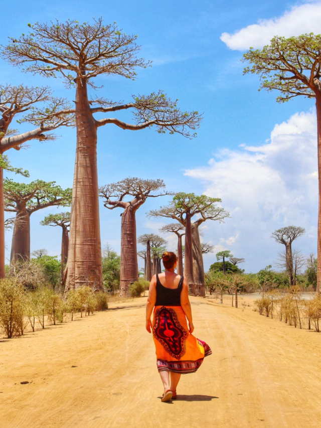 Adventure At Madagascar Awaits, Have You Packed?